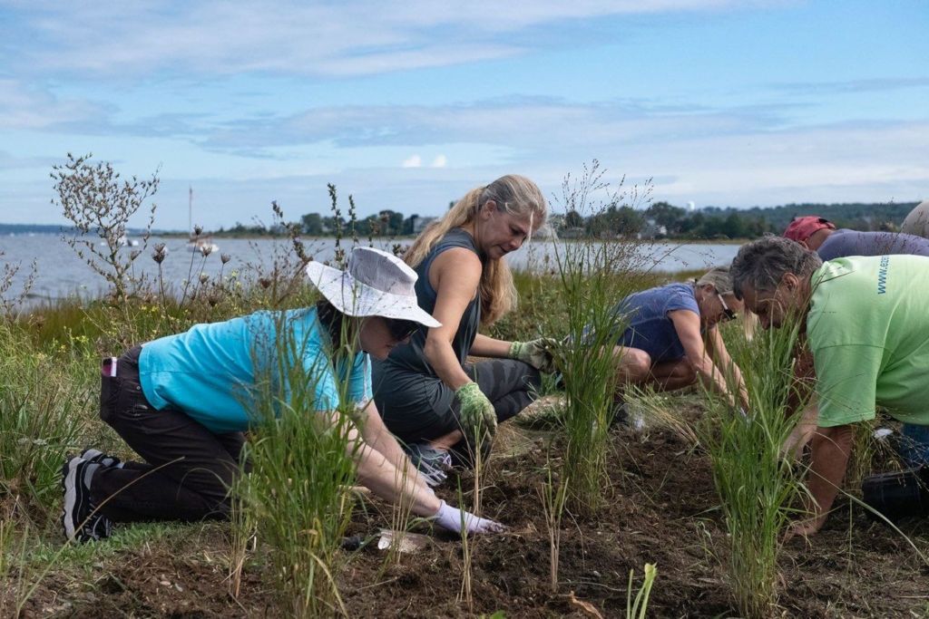 Nicole Gotovich, left, and Common Fence Point residents plant native grasses and shrubs on the shoreline of Mount Hope Bay on Saturday, Sept. 25, 2021. The native grasses and shrubs have deep roots and reserve as a natural barrier to storm surge.