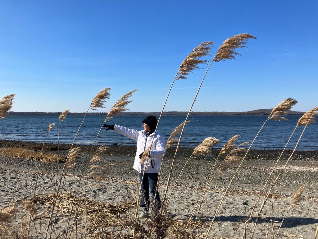 Nicole Gotovich points down the shoreline to the areas where the neighborhood volunteers planted native plants to prevent erosion on Friday, March 4, 2024. The phragmites in the foreground are an invasive species.